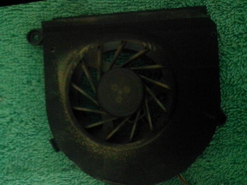 IMG_20150301_112826.thumb.jpg.daab4b5536