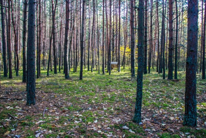 IMG_2314.thumb.jpg.6abc3d89075768e3b0abe