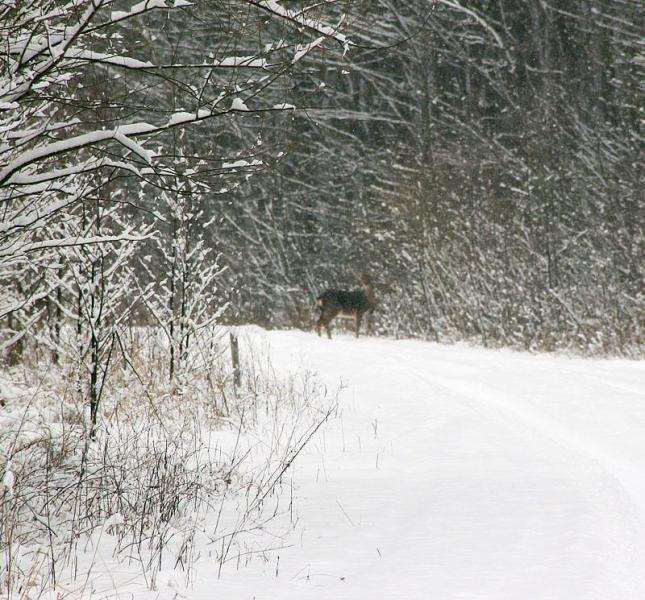 gerfasedfa.thumb.jpg.b6e0c29c763ae336fca