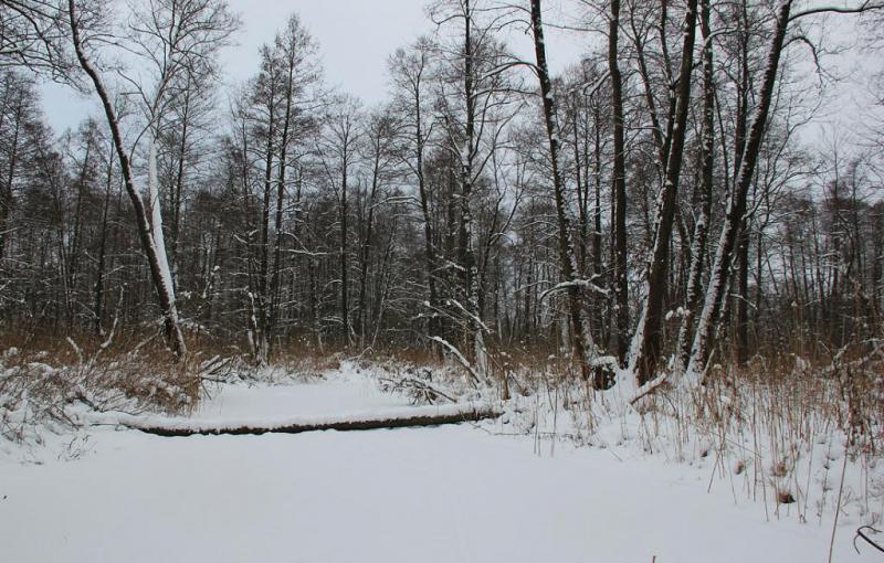 gfhnfdgbx.thumb.jpg.2f653d2c1fc90e6efb0a