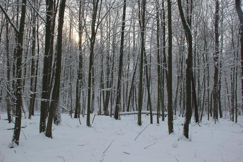 hrtyetrgrtyt.thumb.jpg.df0423c499cb08f1c