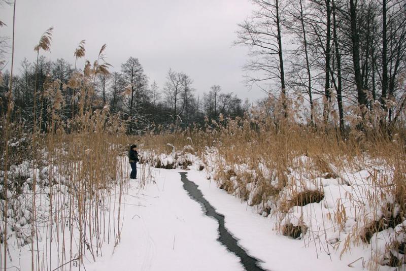 htrhcft54yx.thumb.jpg.490092e5f6f19c34c2