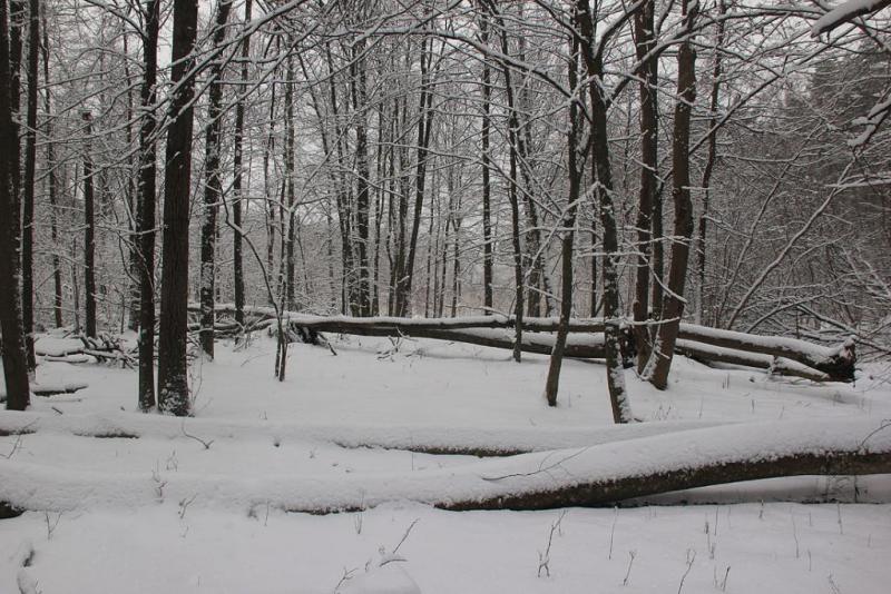 htyhsergser.thumb.jpg.fd1314c3eac49af13c