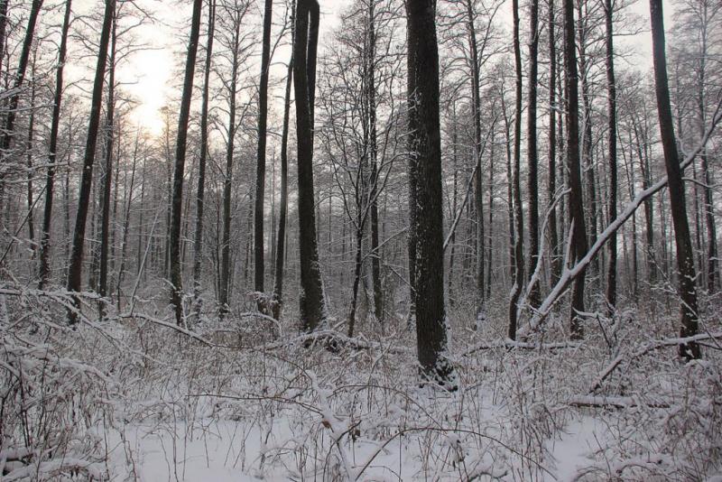 htyjtyjyusds.thumb.jpg.e3dda518af609f699