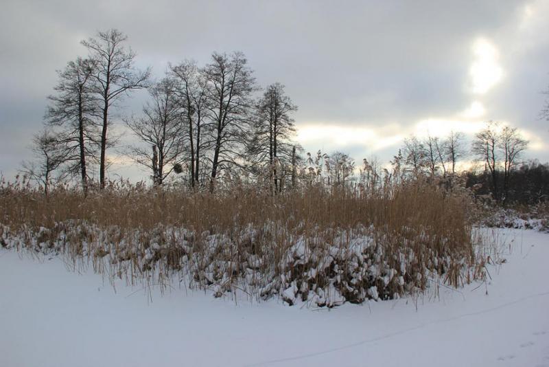 ikhdtrgyj.thumb.jpg.effb45c6f2d32d96237e