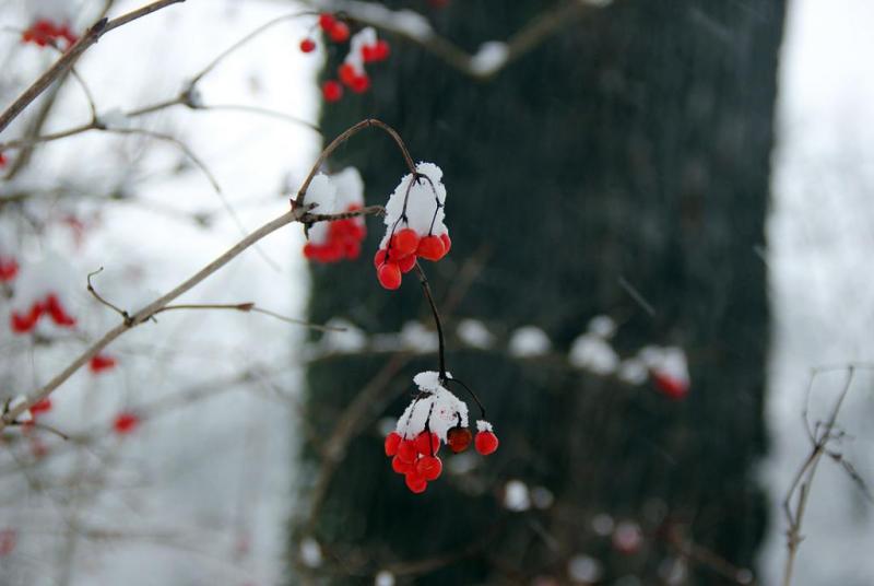 j67hregt.thumb.jpg.e04daeda41f264558775e