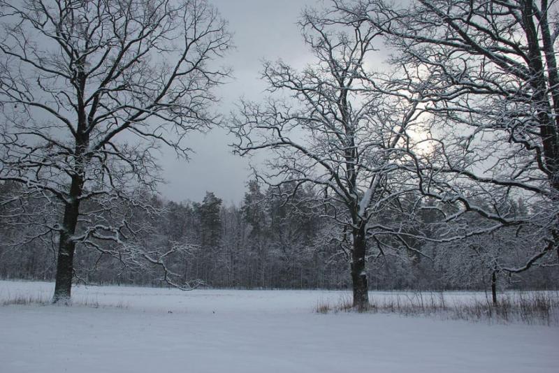 j76weeeeee45tg.thumb.jpg.1885fc5c3fef0c6