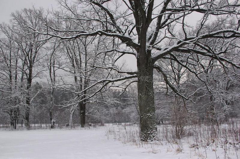 jdtrgsergtyjt.thumb.jpg.15d3373ca80667bf