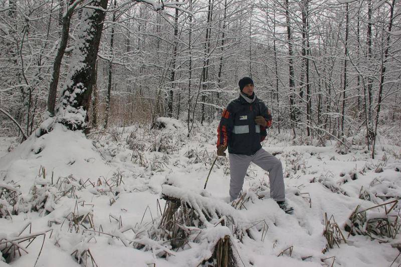 jkyugdfrsertty.thumb.jpg.2c4d7c66c23480d