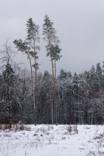 jrdtgersgtrt.thumb.jpg.8d4e6e1f31800b4ce