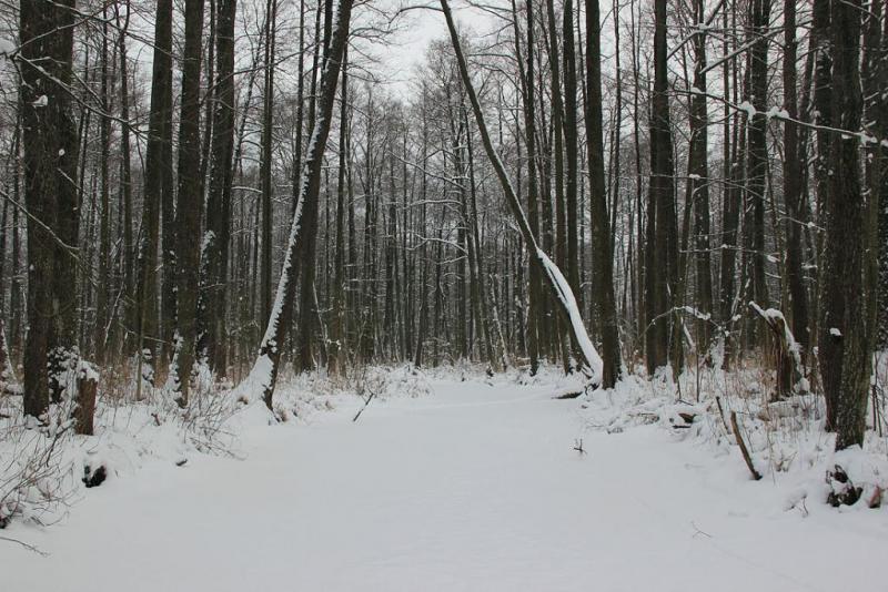 jrgdfsd.thumb.jpg.bd73c99ae59435bc4067b8