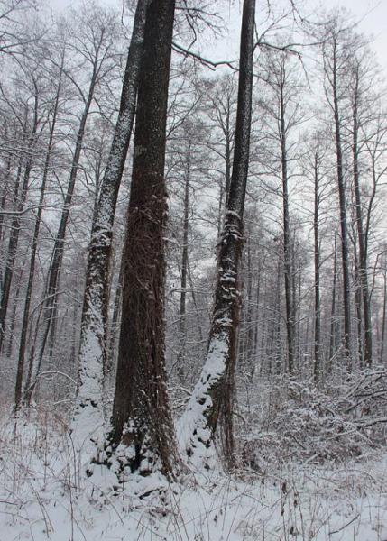 jtyjrdgtser.thumb.jpg.15bde0be83e6fa21e6