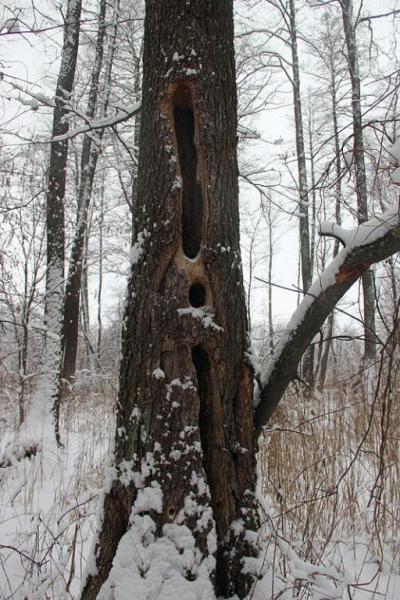 jtyrtere.thumb.jpg.217d686566da33f7a2d08