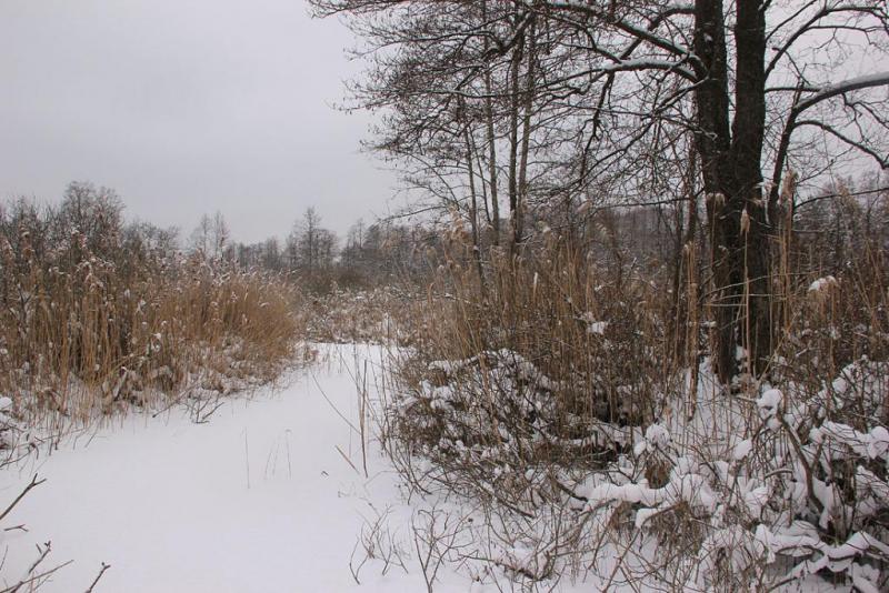 jyhsdg.thumb.jpg.38dce6daef19cdf37e48f2d