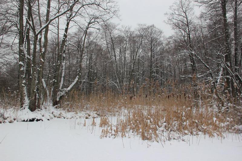 jyudrtgser.thumb.jpg.584f82b5535c726de4d