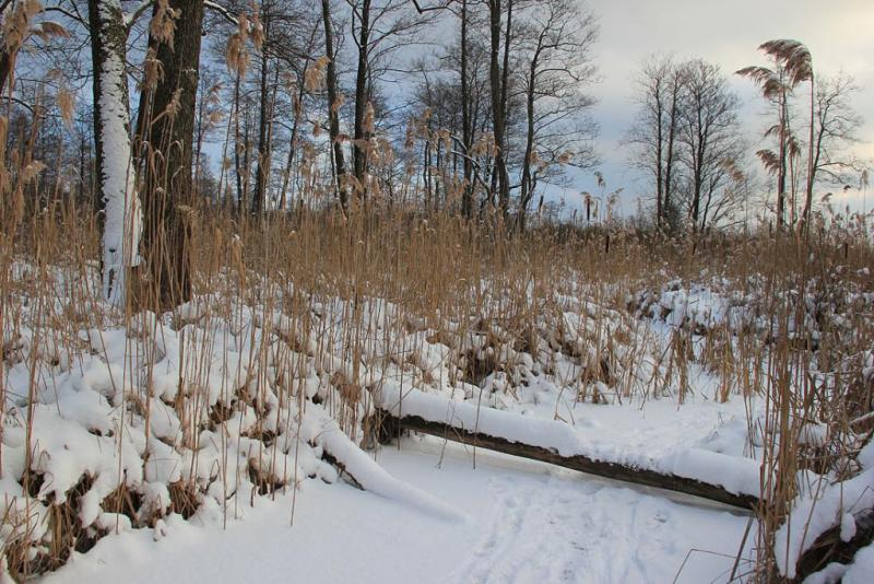 jyujhdgthsd.thumb.jpg.09c1b2bbc90e4cb11c