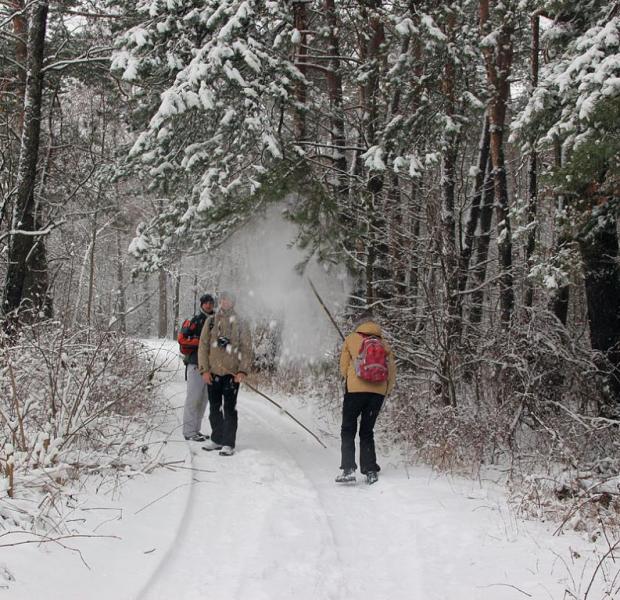 kjtyerttt.thumb.jpg.79ea987bc890f44feccd