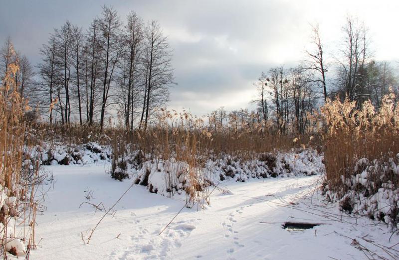 kuycccccccccccccg.thumb.jpg.9c0253924b67