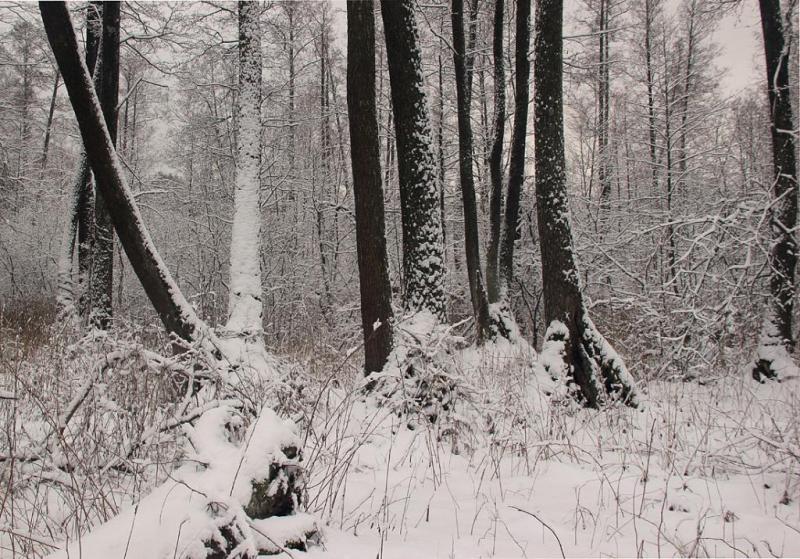 kyujdthsddr55.thumb.jpg.f35e5cd5077af2f0