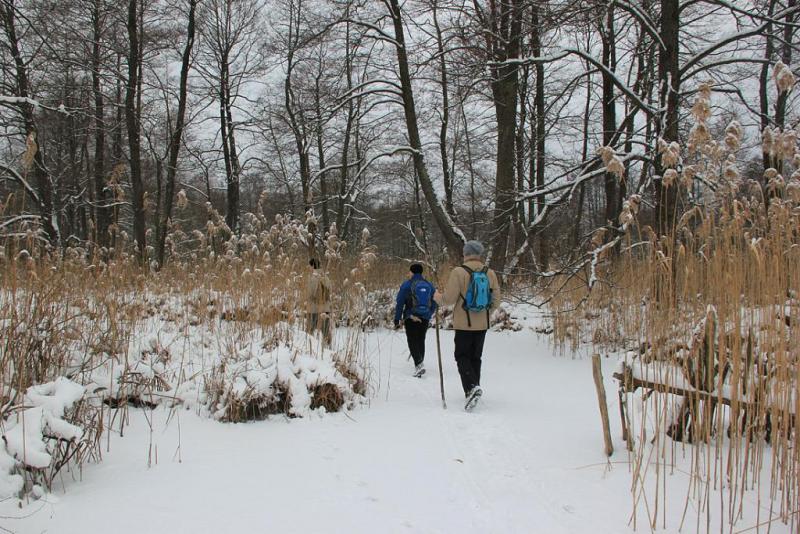 t5ergerhy.thumb.jpg.11f4a4b64b683264889d