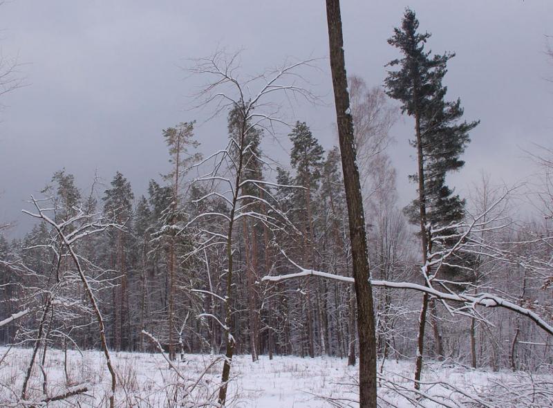 trhrjyutsd.thumb.jpg.850ec90efca9714367e