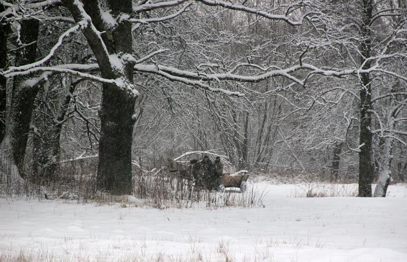 ujytjtrser.thumb.jpg.5c01d204a1323e1f908