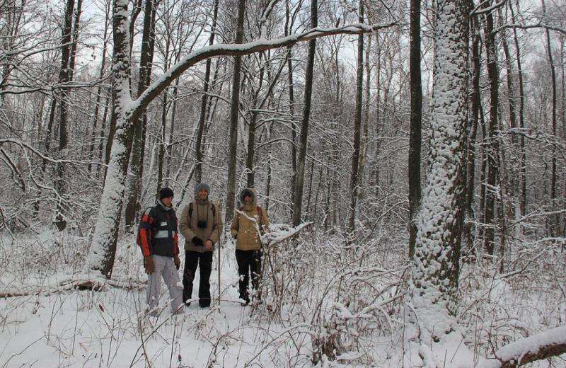 uktrdgrtrty.thumb.jpg.c0e0d8fde82ef2cca4