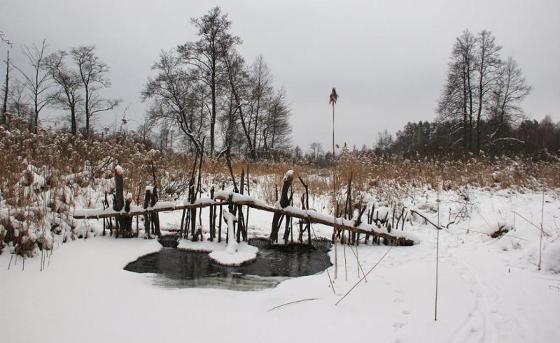 uyierthtyyy.thumb.jpg.0deab147da836e7558