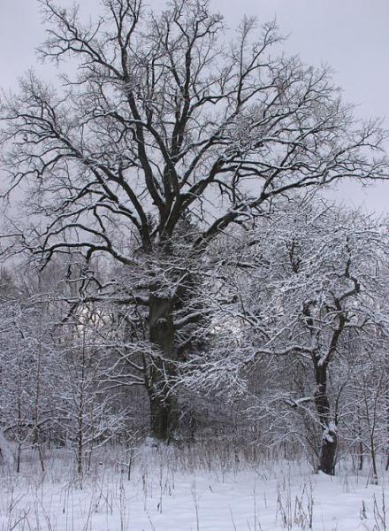 uytrgtyryyy.thumb.jpg.3de02625c2c5c5fecc