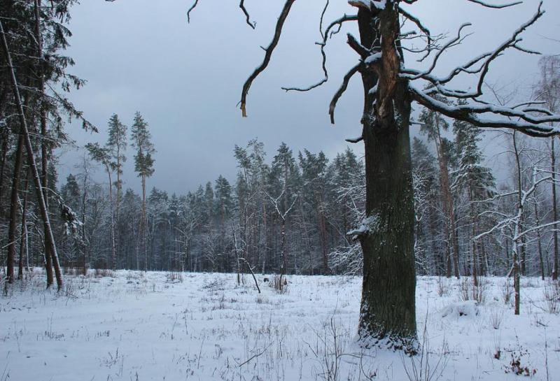 yhtrhytrtrwe.thumb.jpg.c9c243ea37e38b88d