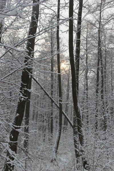 yrhthtryhdgftd.thumb.jpg.936352c60ab3e76