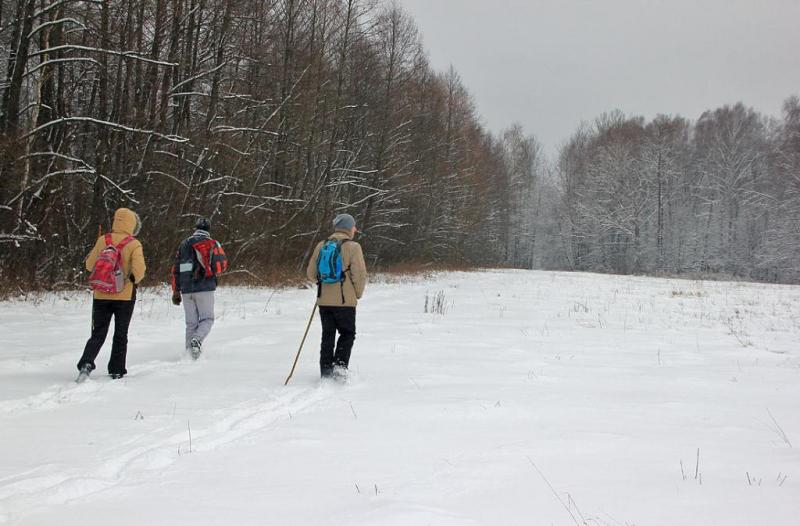 yur6utrters.thumb.jpg.4acc08b5531b3c7a06