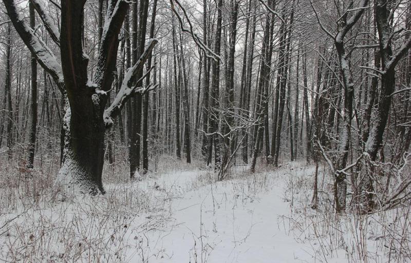 yutgryujytdf.thumb.jpg.095e0201b28eac3ad