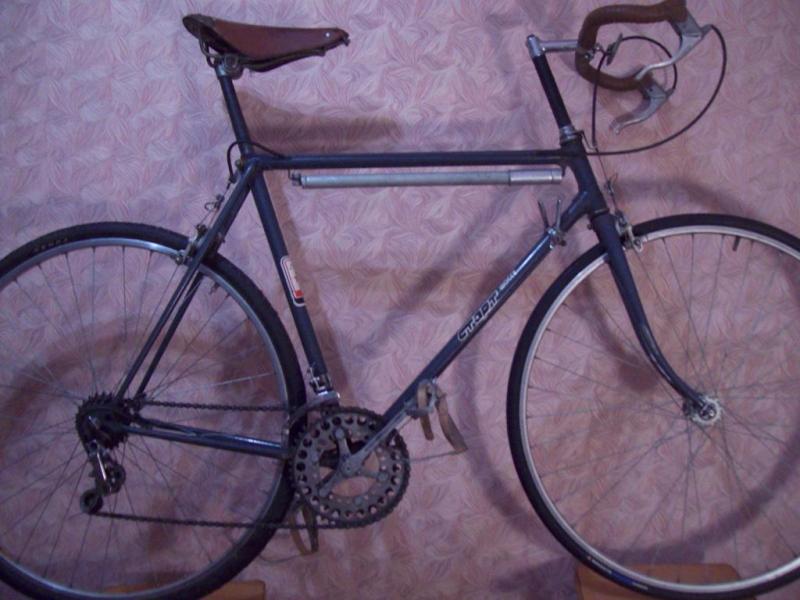 101_2164.thumb.JPG.6a9dfc587baaa2e34076f