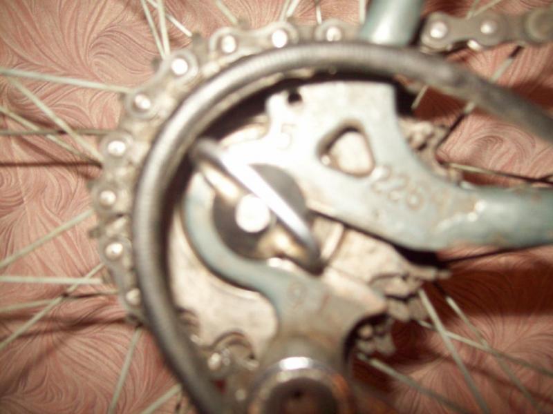 101_2167.thumb.JPG.b0a69f8afb35629d16ad9