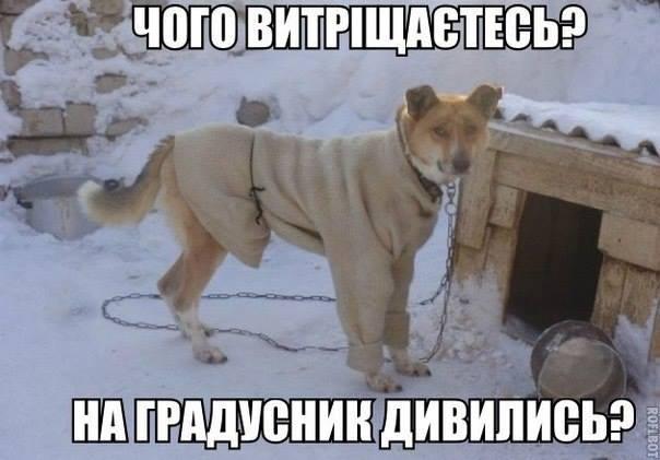 12523143_1021900927885074_48246846531150