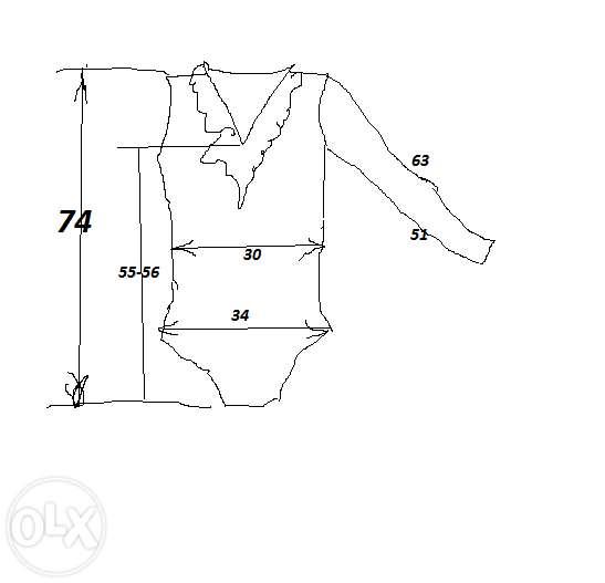 177361655_6_1000x700_bod-bodi-tsna-vpala