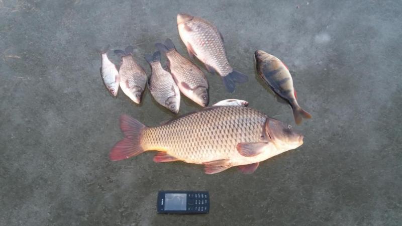 20160202_163022.thumb.jpg.c13a42b913a605