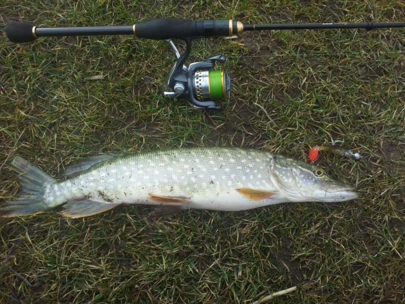 20160215_122741.thumb.jpg.746ef2e716fbe9