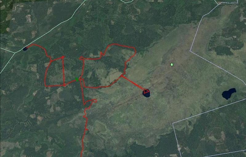 56bc4ffa83ce7_.thumb.jpg.02ab215ed1aa23c