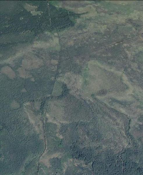 56befc0ece607_.thumb.jpg.c916b01f9ac6c7a