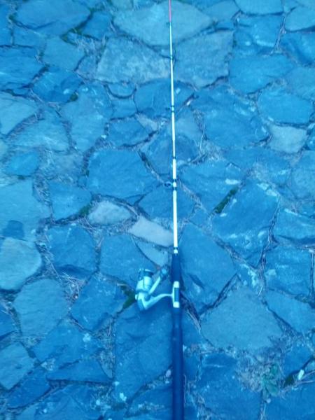 56bf6ba511f25_IMG_20160213_1412551.thumb