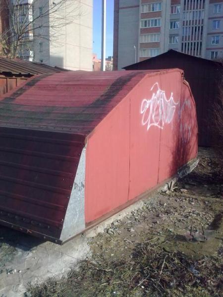 Черепашка 2.jpg