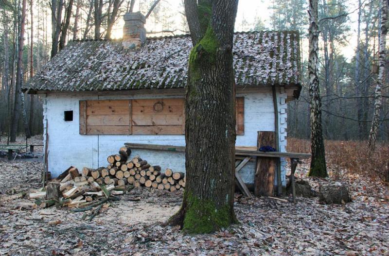 65gtrwqet6t6.thumb.jpg.40031688b13969c37