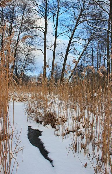 76uhjhrte.thumb.jpg.c739d8a7d8d2043e15a5