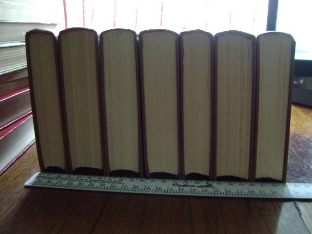 DSC03105.JPG.d549bd0b80c771a9f2d69d4627e