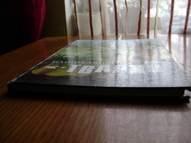 DSC03173.JPG.3b2922e3ec3b2bc40f48f1a71db