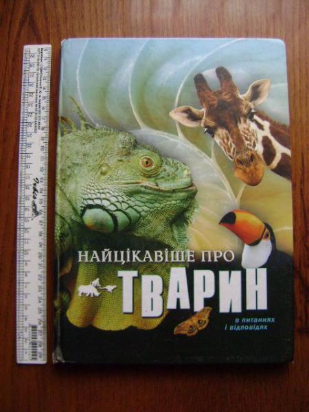 DSC03174.thumb.JPG.f1ffbc8f29b32bd752bbd