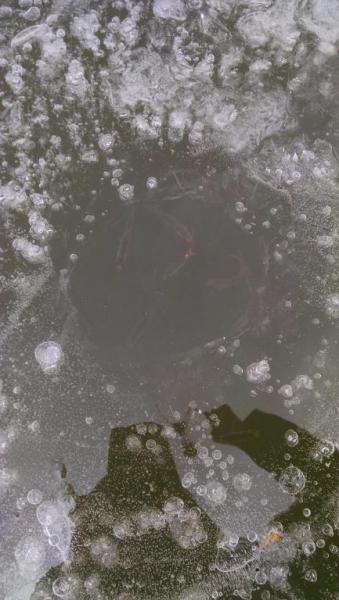 IMG_20160204_150128761.thumb.jpg.e6f6496