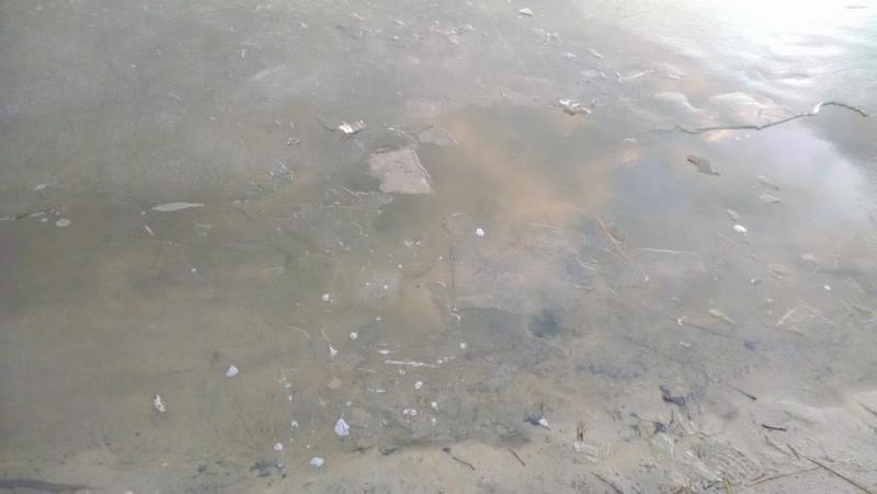 IMG_20160204_164452640.thumb.jpg.e2c0799